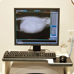 CRデジタルX線画像診断システム