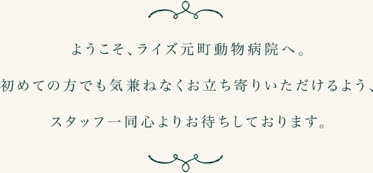 ようこそ、ライズ元町動物病院へ。初めての方でも気兼ねなくお立ち寄りいただけるよう、スタッフ一同心よりお待ちしております。